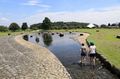 🌳 오무로 공원(오오무로 코엔) 이미지 2